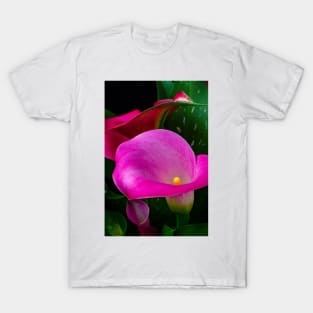 Pink Calla Lily Garden Still Life T-Shirt